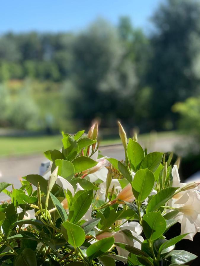 Cameracaffe Sul Lago Arezzo Kültér fotó